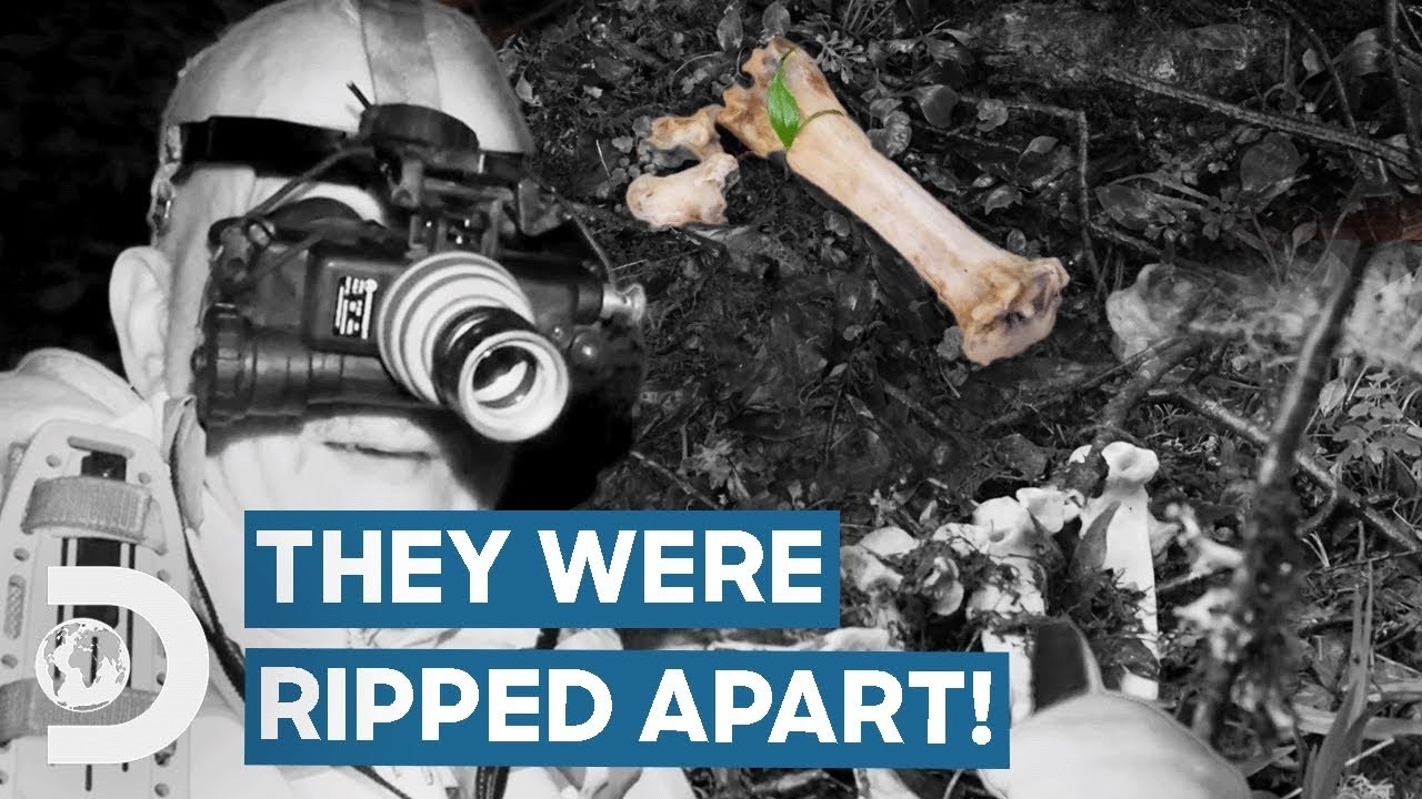 Investigating A Bigfoot Sighting After Thermal Camera Capture | Expedition Bigfoot
