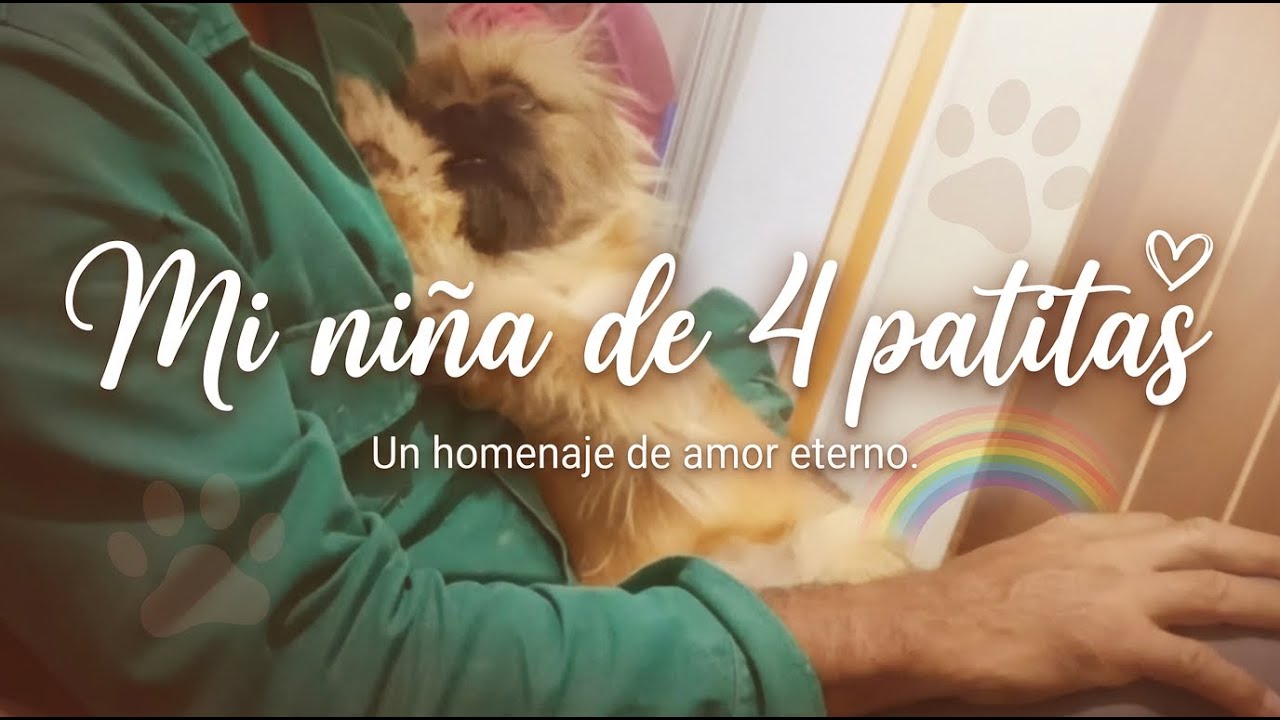 Mi Niña de 4 Patitas | Una canción para quienes perdieron a su perrita