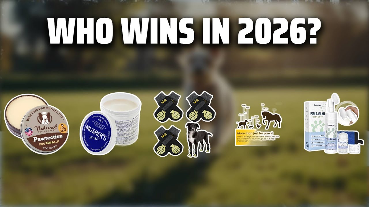 The Top 5 Best Paw Protectors in 2026 - Must Watch Before Buying!