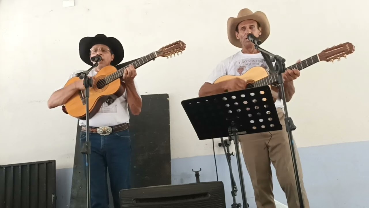 Saudade me fez voltar - Tião Mineiro & Jaguaré