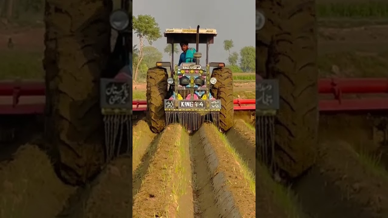 ARSAL FARM