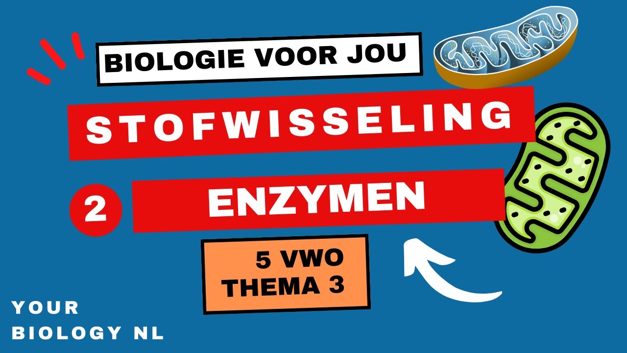 5 vwo | Stofwisseling | 2 | Enzymen