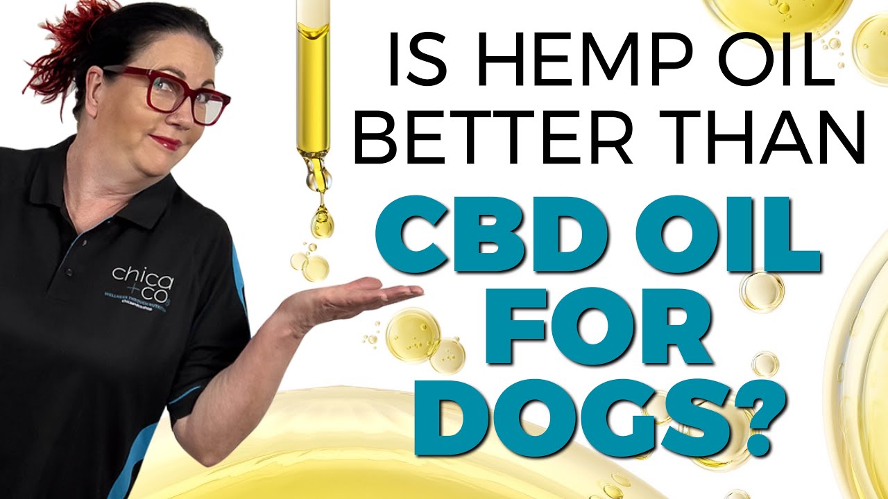 What&rsquo;s difference between Hemp Oil, CBD Oil & Hemp Seed Oil for Dogs?