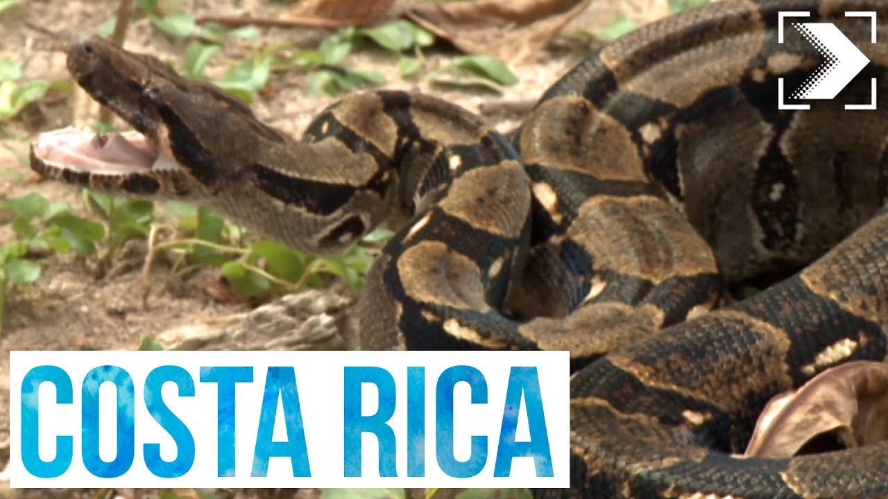 Españoles en el mundo: Costa Rica (2/3) | RTVE