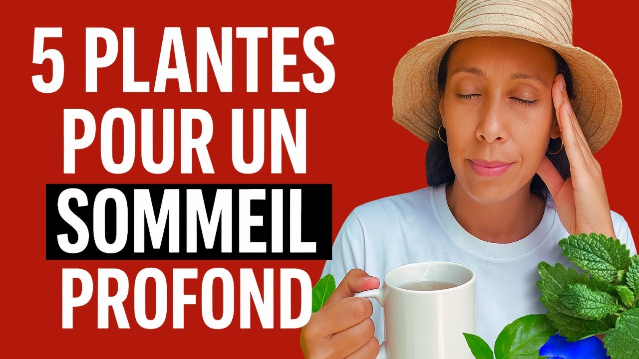 5 alliées naturelles pour calmer l’esprit et s’endormir vite ! #plantesmedicinales