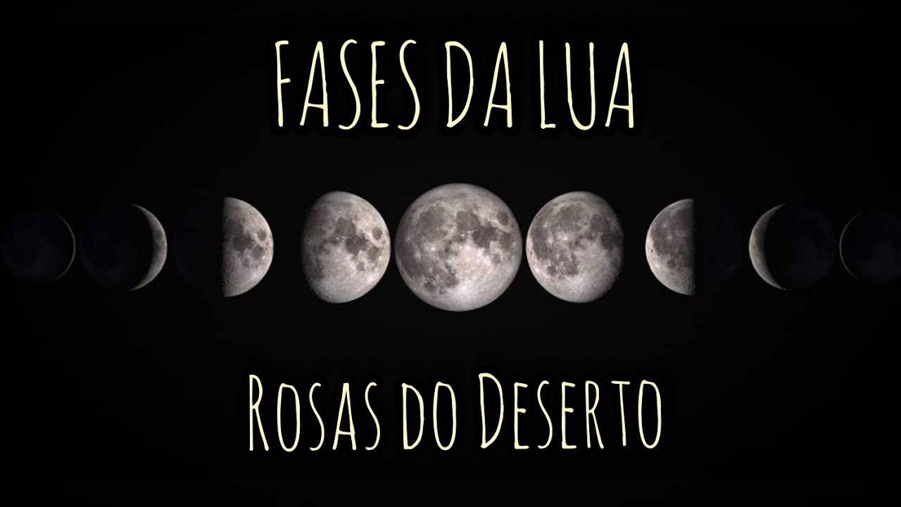 Fases da Lua - Ideais para as Rosas do Deserto( Lua Nova, Crescente, Cheia e Minguante) 🌒🌱🌺