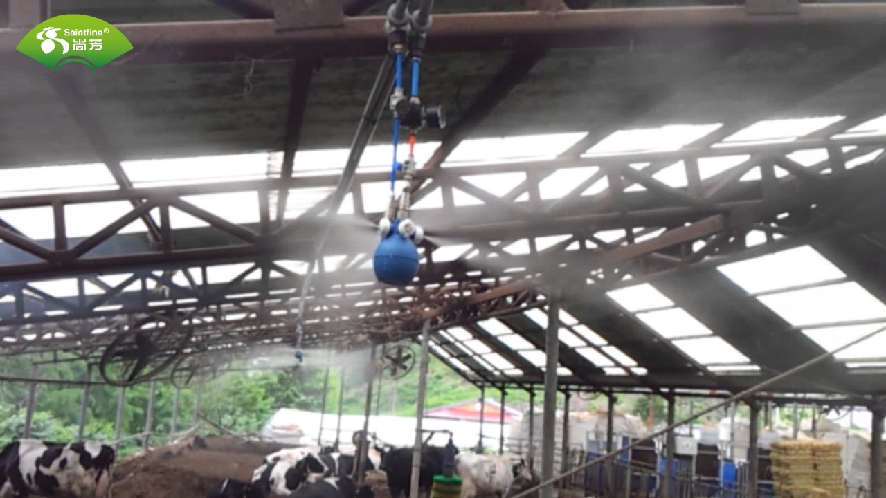 Aerial Fog System in Chinese from Saintfine Company Dry Fog