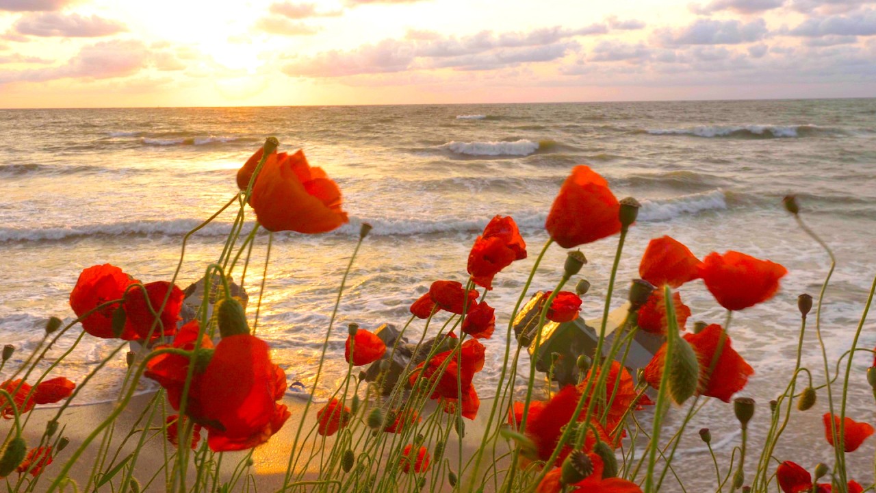 Beautiful Relaxing Hymns, Peaceful Instrumental Music, 