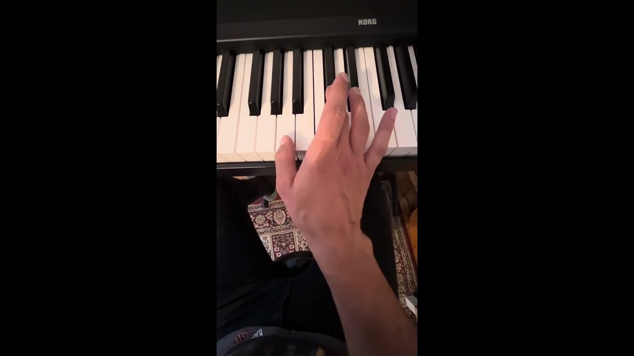 Benjamin Biolay - Les cerfs-volants Piano Tutorial (version live)
