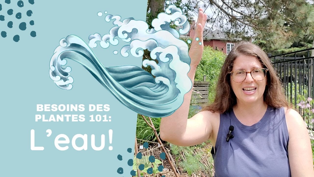 Les besoins des plantes 101: L'eau. D&eacute;veloppe (doublement) ton pouce vert!