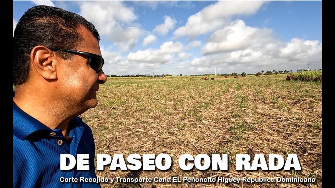 Corte recojido y transporte Caña EL Peñoncito Higuey Republica Dominicana I DE PASEO CON RADA