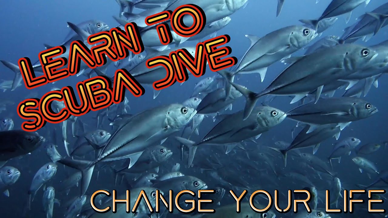 Dive with Hydronauts Diving Resort | Koh Tao