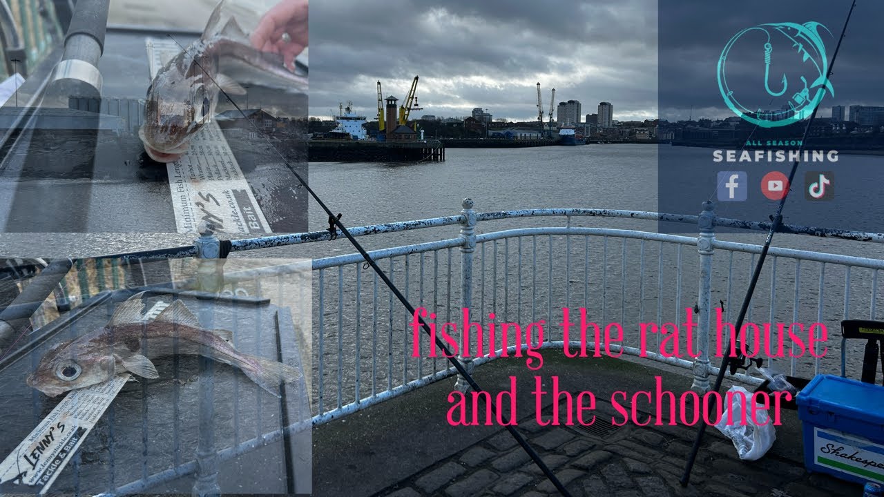 Fishing the rat house and the schooner