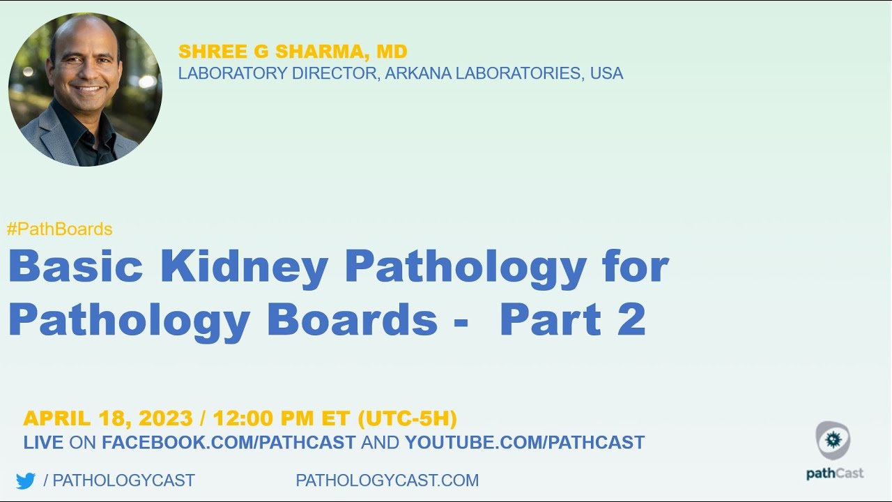 #PATHBOARDS  Basic Kidney Pathology for Pathology Boards - Part 2