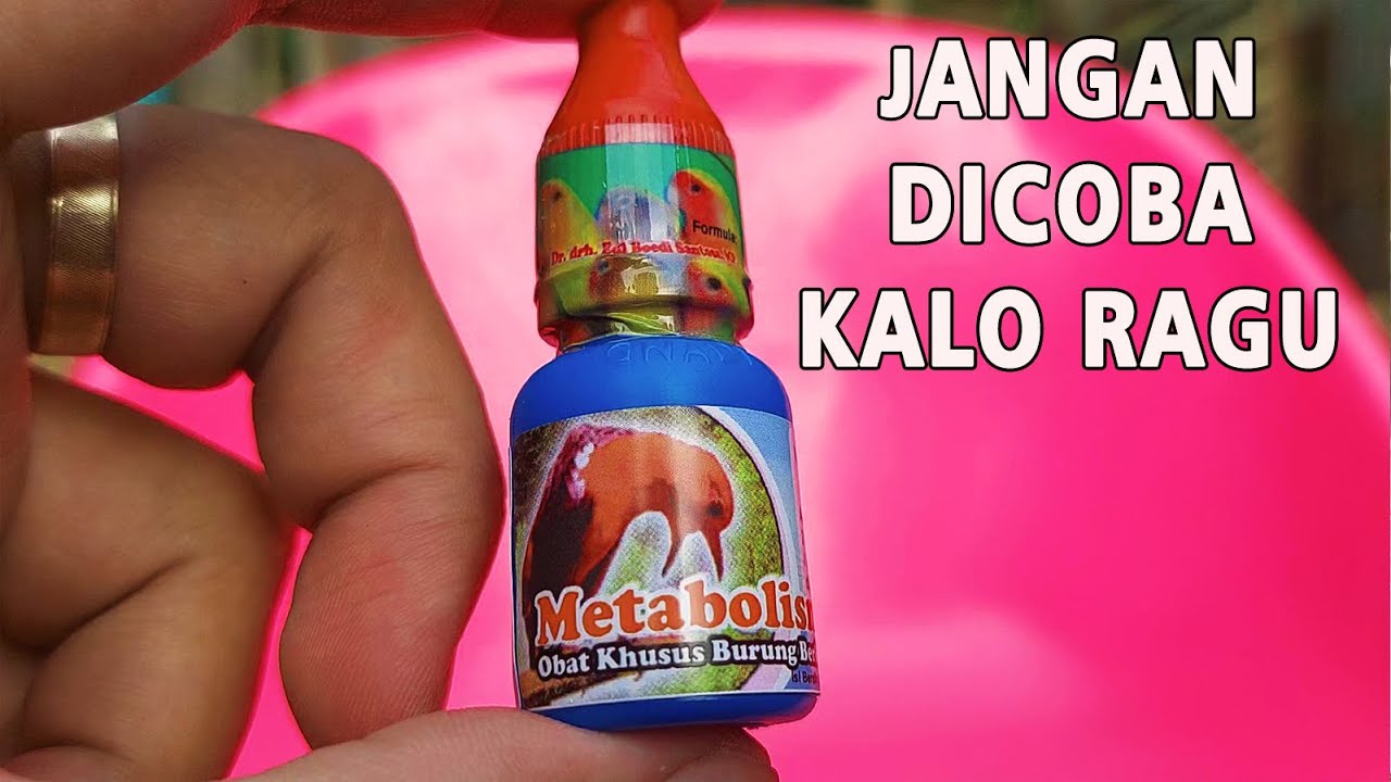 REVIEW METABOLIS VITAMIN BURUNG MENAIKAN BIRAHI