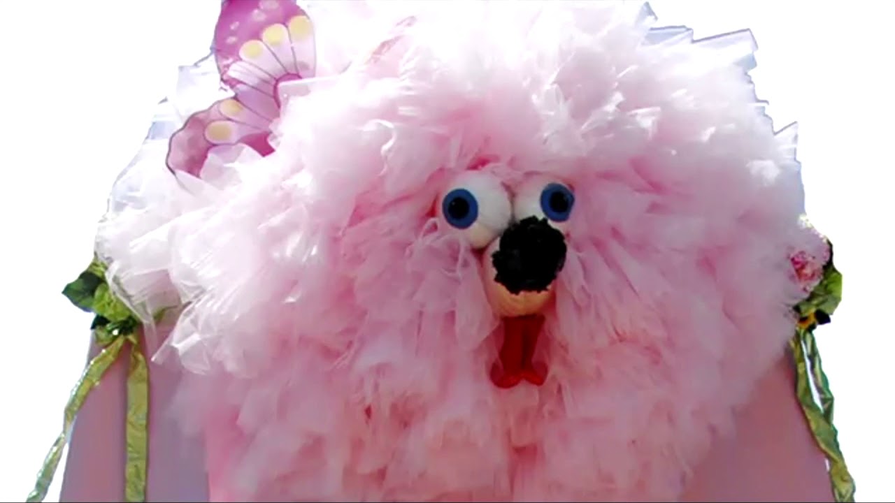 Interview with Fifi the Pink Poodle
