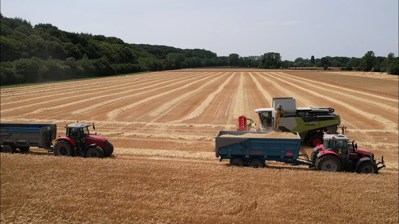 Moisson orge 2023 lanc&eacute;e dans le jura