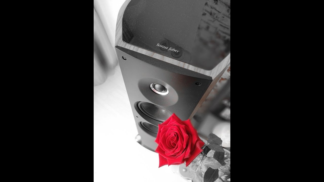 sonus faber venera 2.5 -Denon pma 2500 ne
