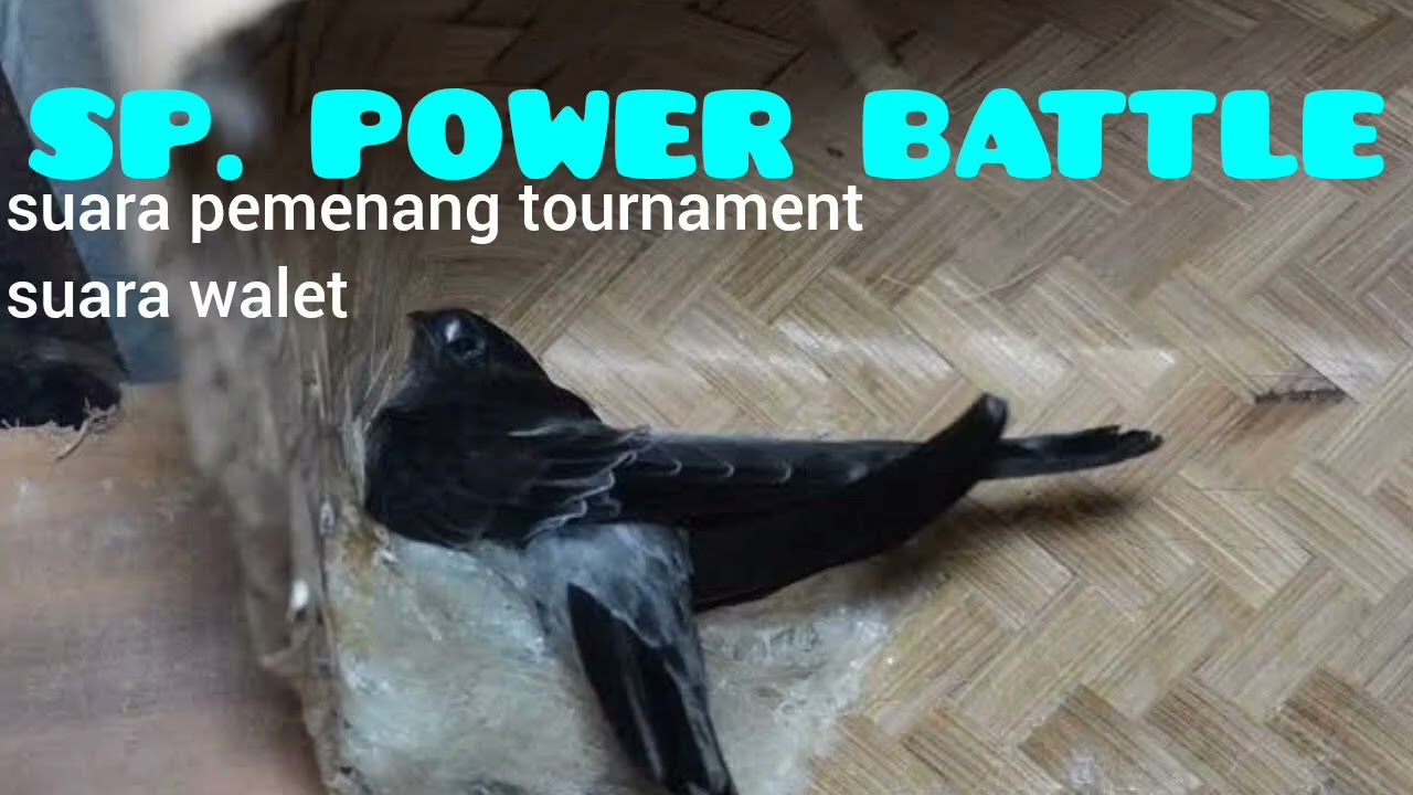 SP POWER BATTLE