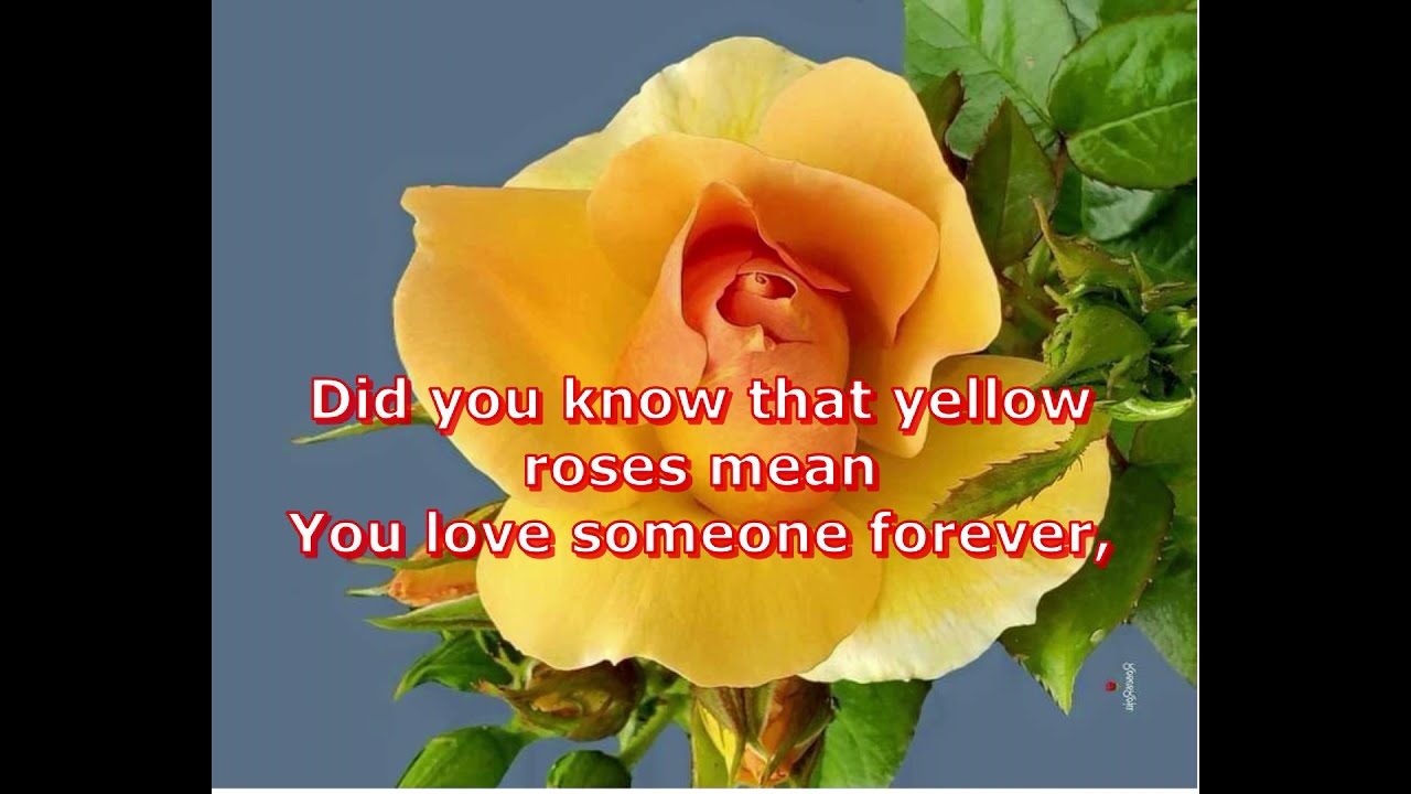 A Single Yellow Rose  By: Isla Grant Karaoke!!!