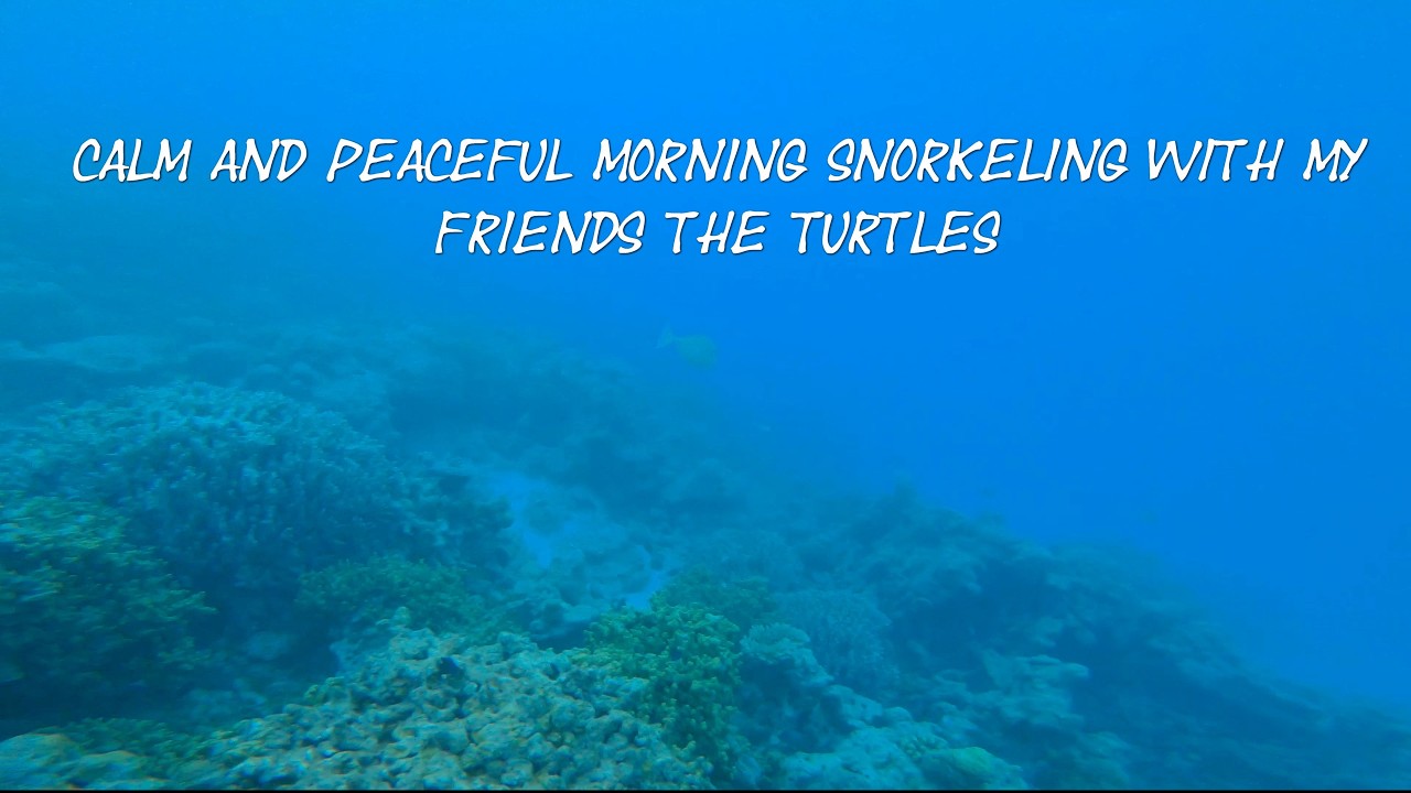Maldives morning snorkling Makunudu Island feb  2026