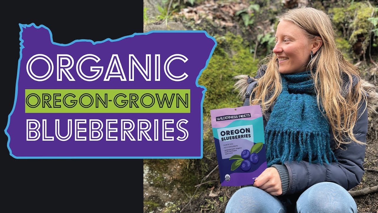 Organic Oregon-Grown Dried Blueberries