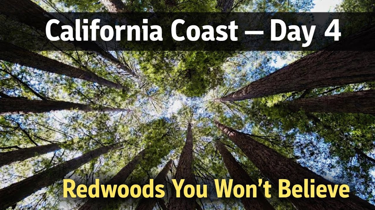 Steam Train Through the Redwoods 🚂 | Santa Cruz & California Coast Day 4