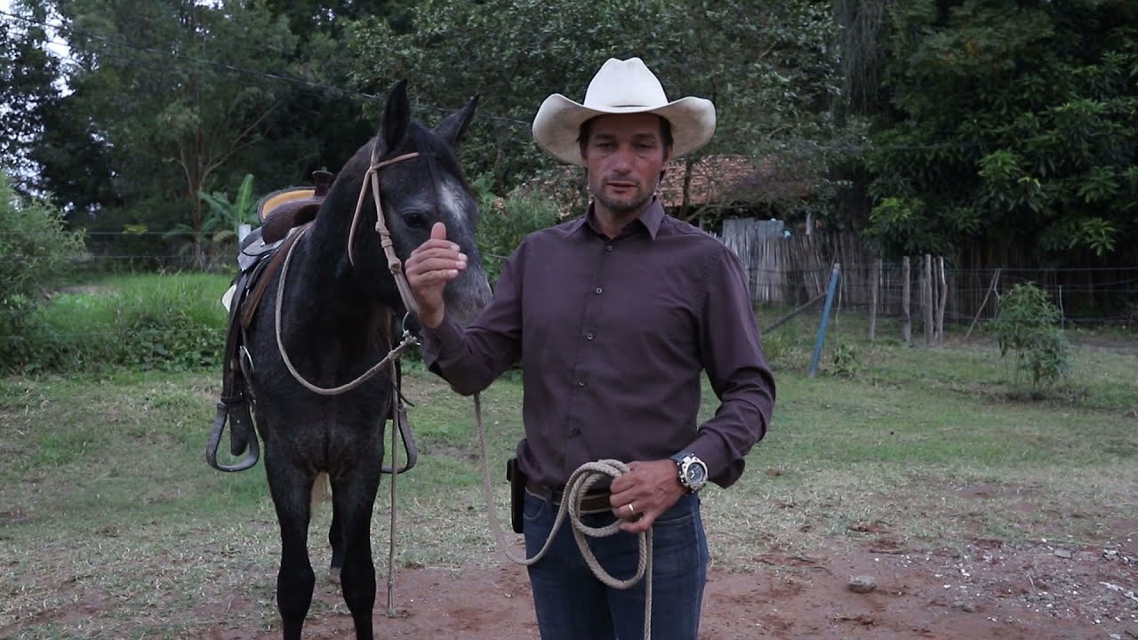Meu Cavalo não fica parado na hora de montar, o que eu faço? I Paulo Mori