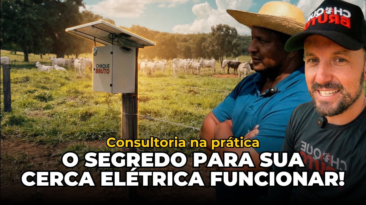Método Choque Bruto na prática (Vlog consultoria - parte 2)