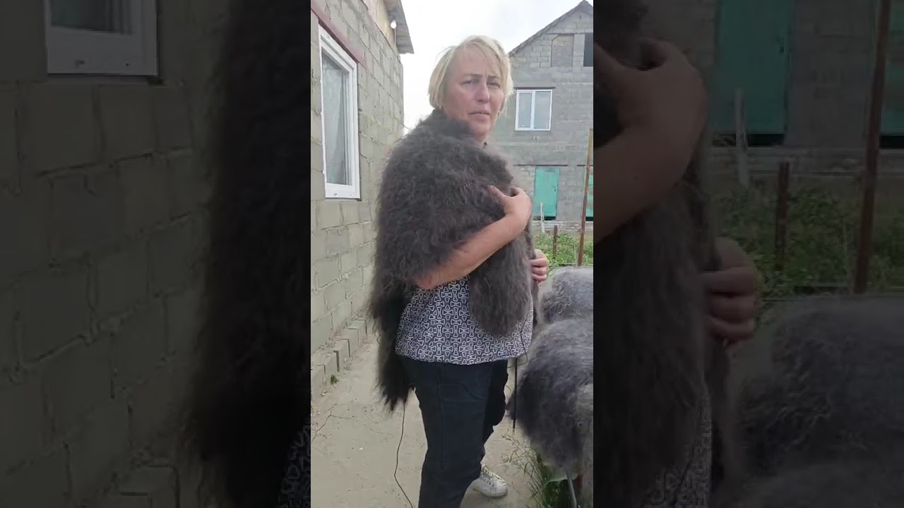 14.06.2025 Белые ажурные палантины и серые платки-медвежатки!(Hand-made)