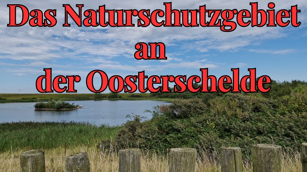 Nationalpark Oosterschelde Keihoogte - Niederlande