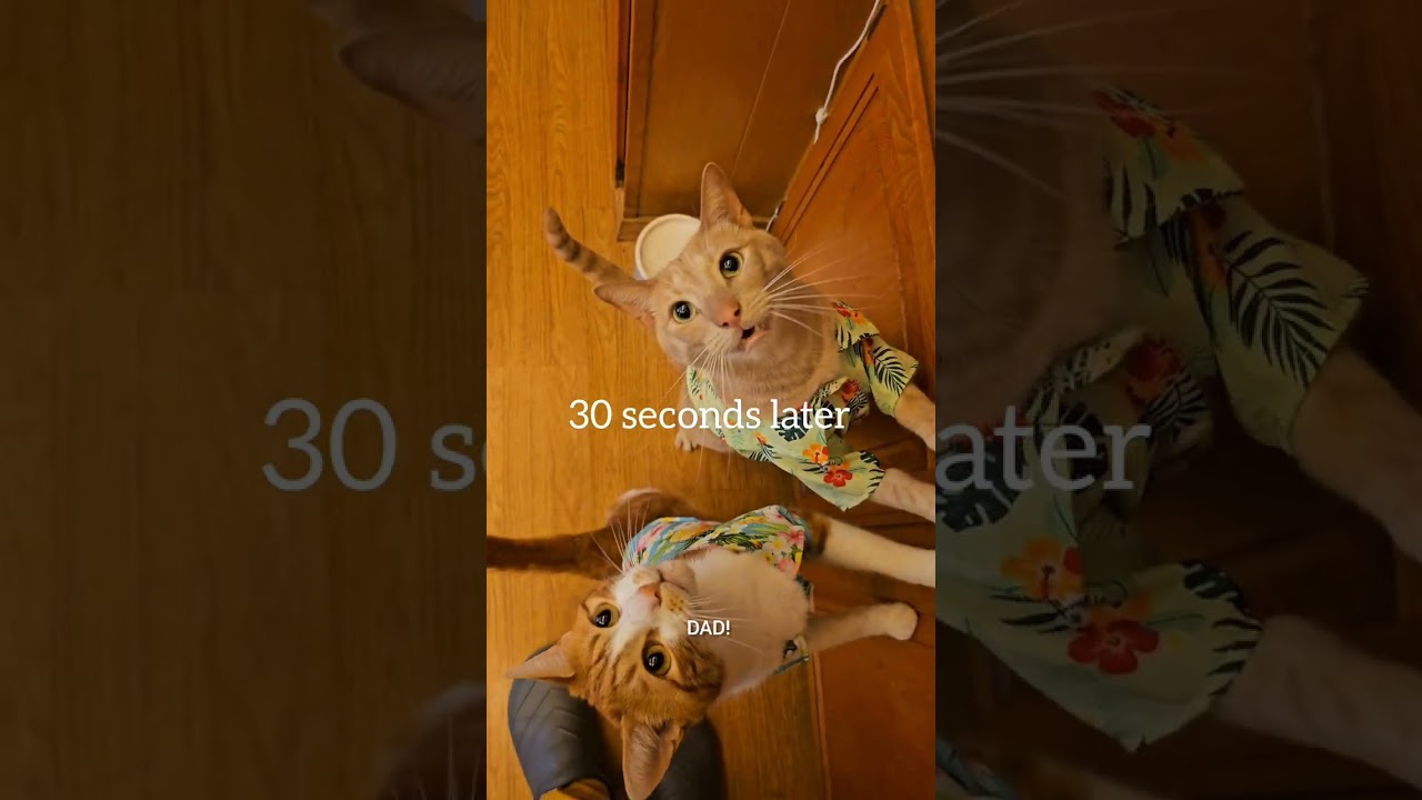 Hot Doug & The Nippies