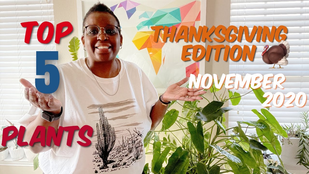 81: My Top 5 Plants For November  2020 | 🦃Thanksgiving Edition +Message 🍁🍂 | Cactus & Succulents!