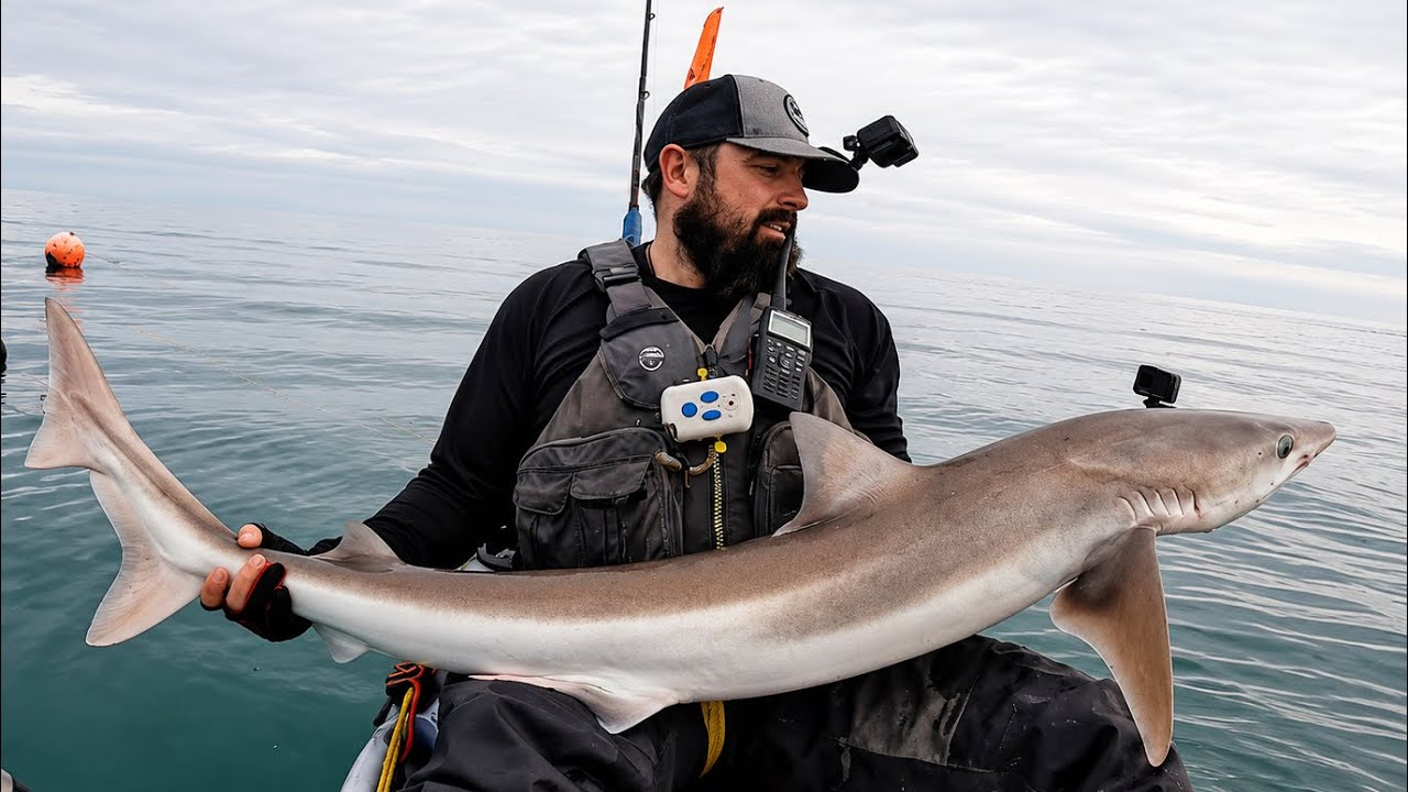 Offshore Kayak Fishing For Tope - Tope Fishing - Shark Fishing - Kayak Fishing Uk