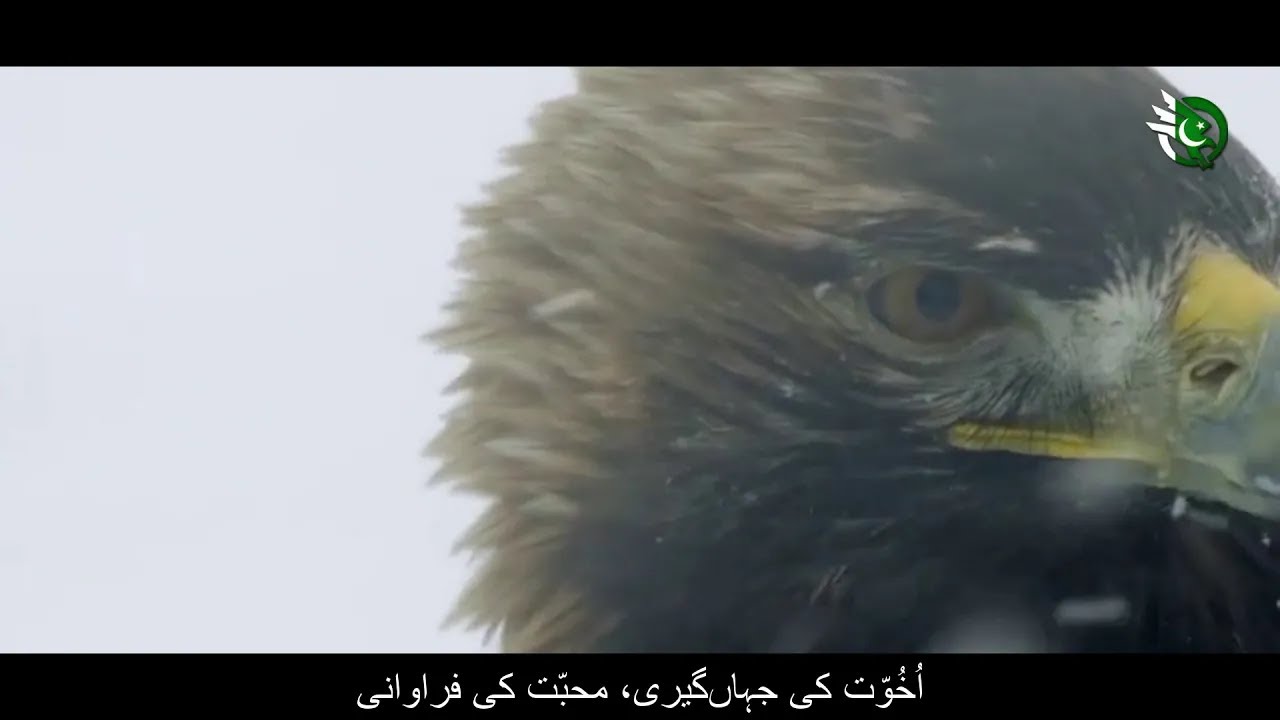 Yehi Maqsood-e-Fitrat hy (Allama Iqbal)
