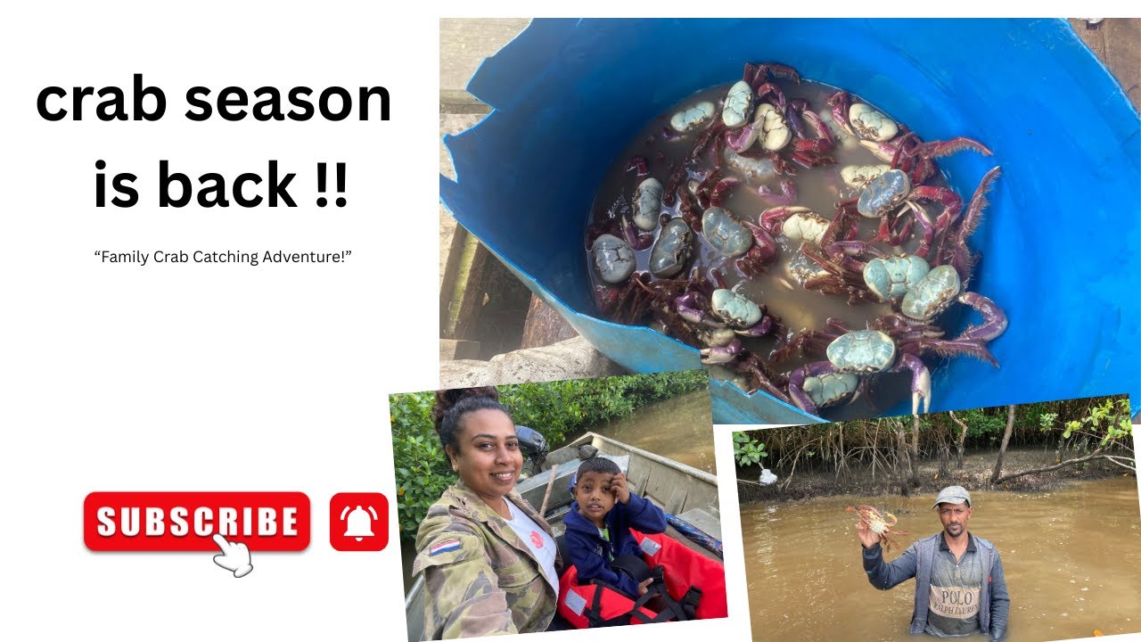 This Is What Crab Season Looks Like in Suriname 🦀🇸🇷”#journeywithme#suriname#boskamp