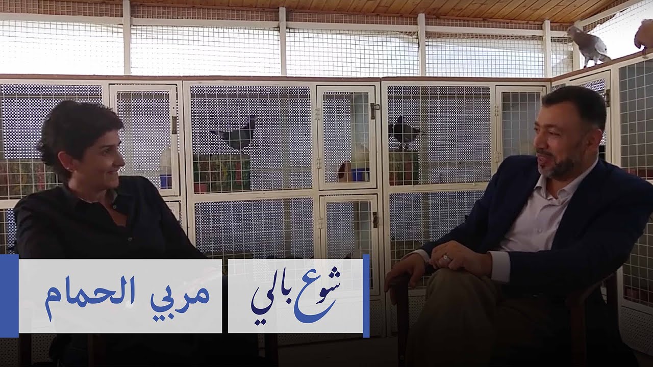 شو ع بالي - مربي الحمام - حـ6 #فكرزيون