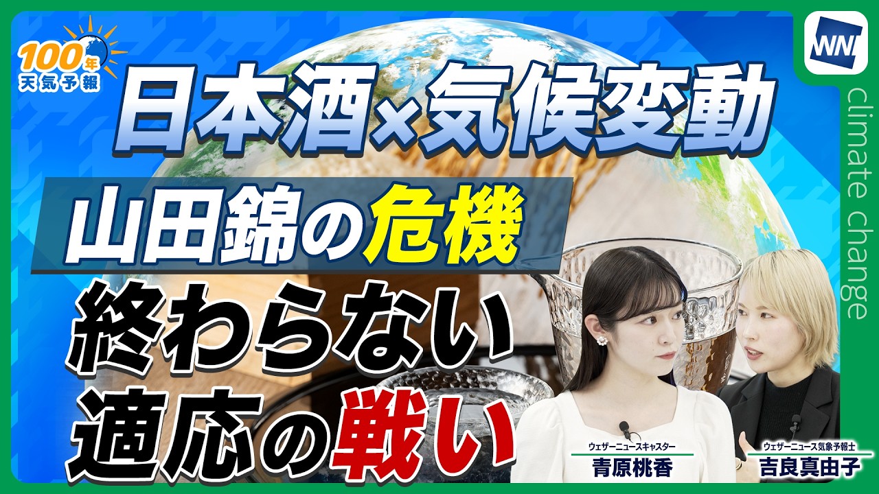 【気候変動番組】100年天気予報〜100年後も、桜の下で乾杯できますか？/日本酒を襲う気候変動の波〜