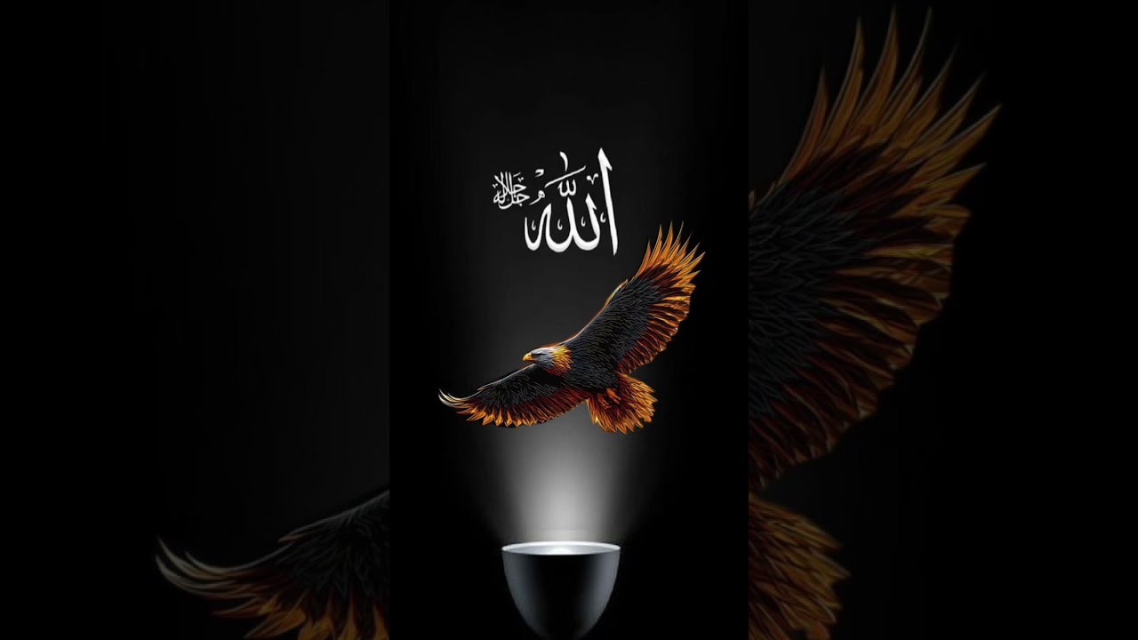 o Allah o Almighty 