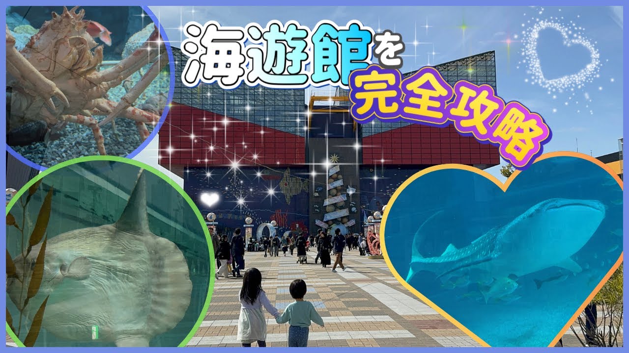 【世界最大級の水族館】海遊館を完全攻略！動物たちの知られざる豆知識にも注目♪♪