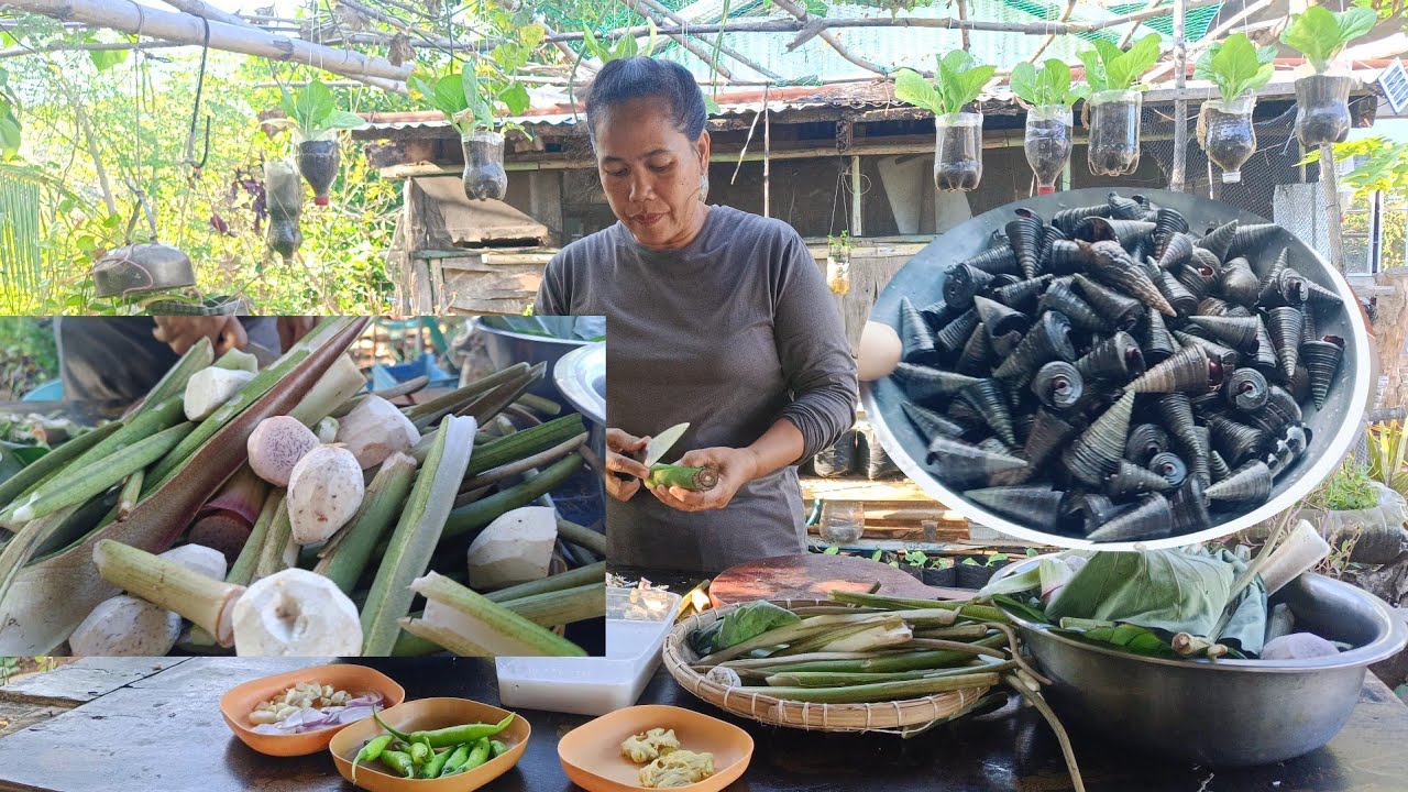 Ginataang Gabi with Bagungon or Horn snail