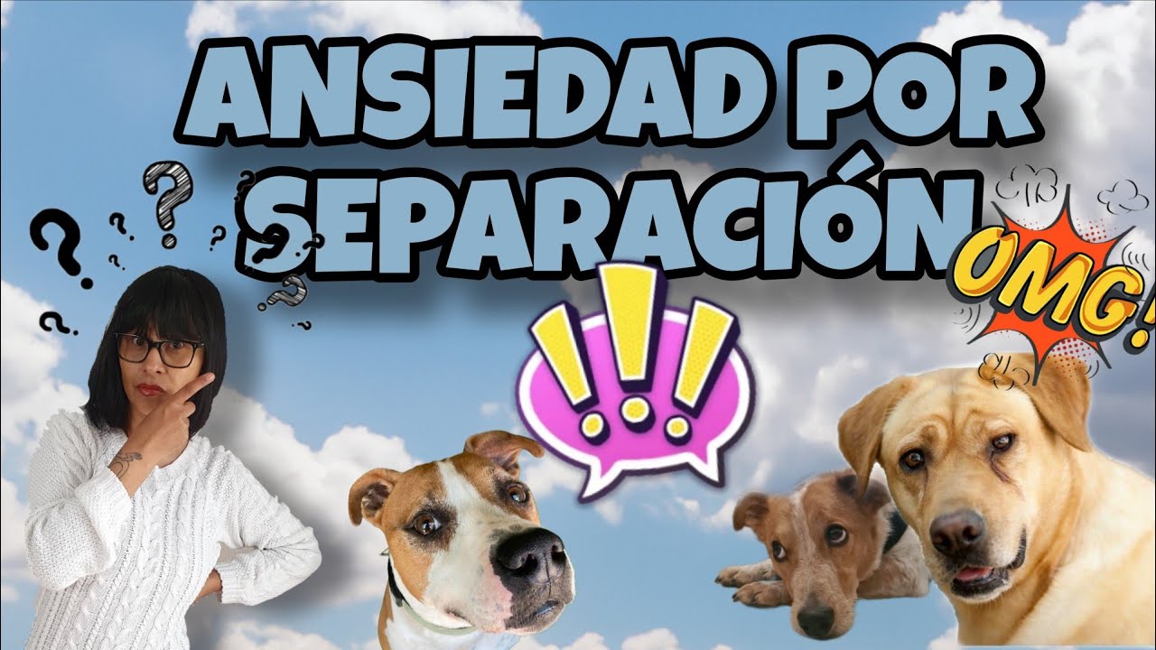 Cómo prevenir la ansiedad por separación 