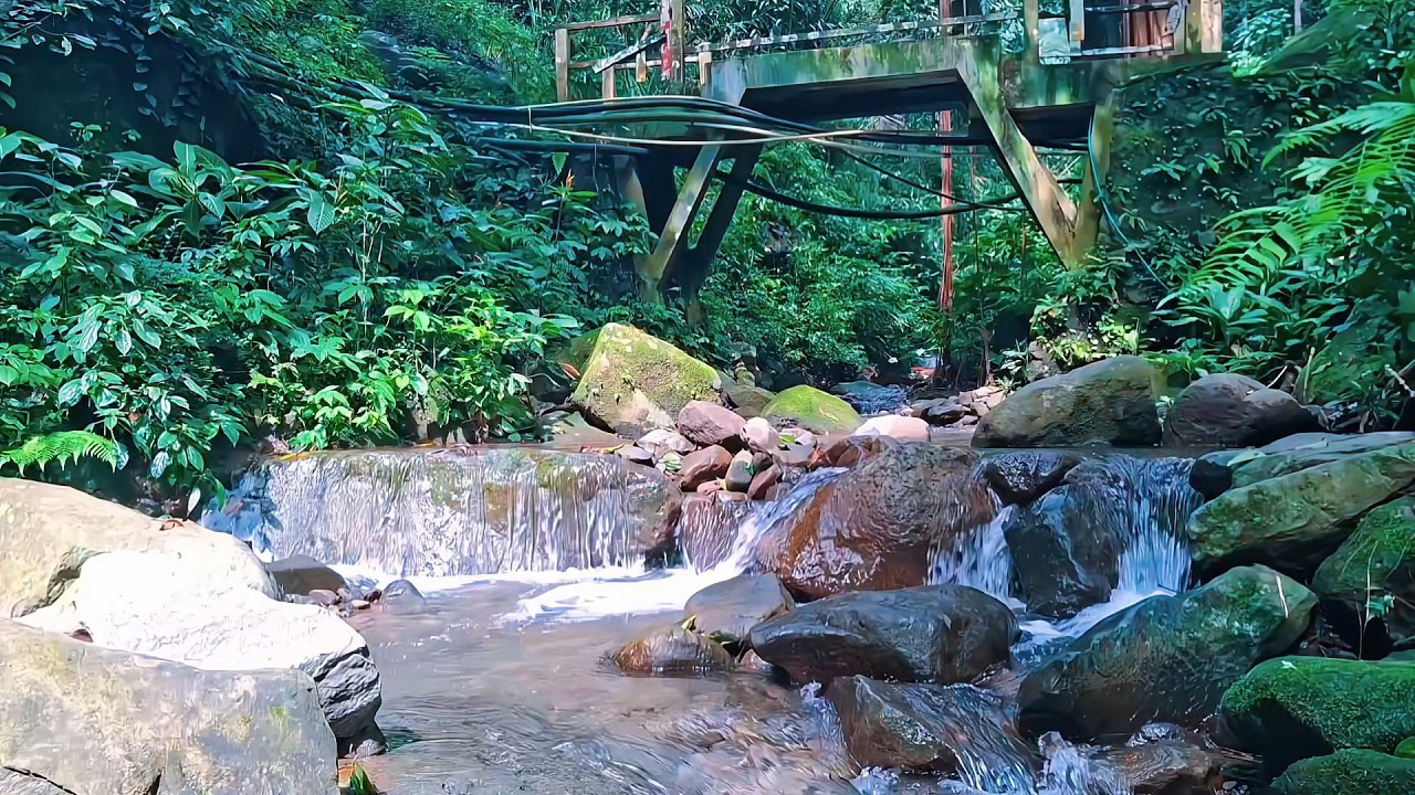 Natural River Ambience to Calm the Mind