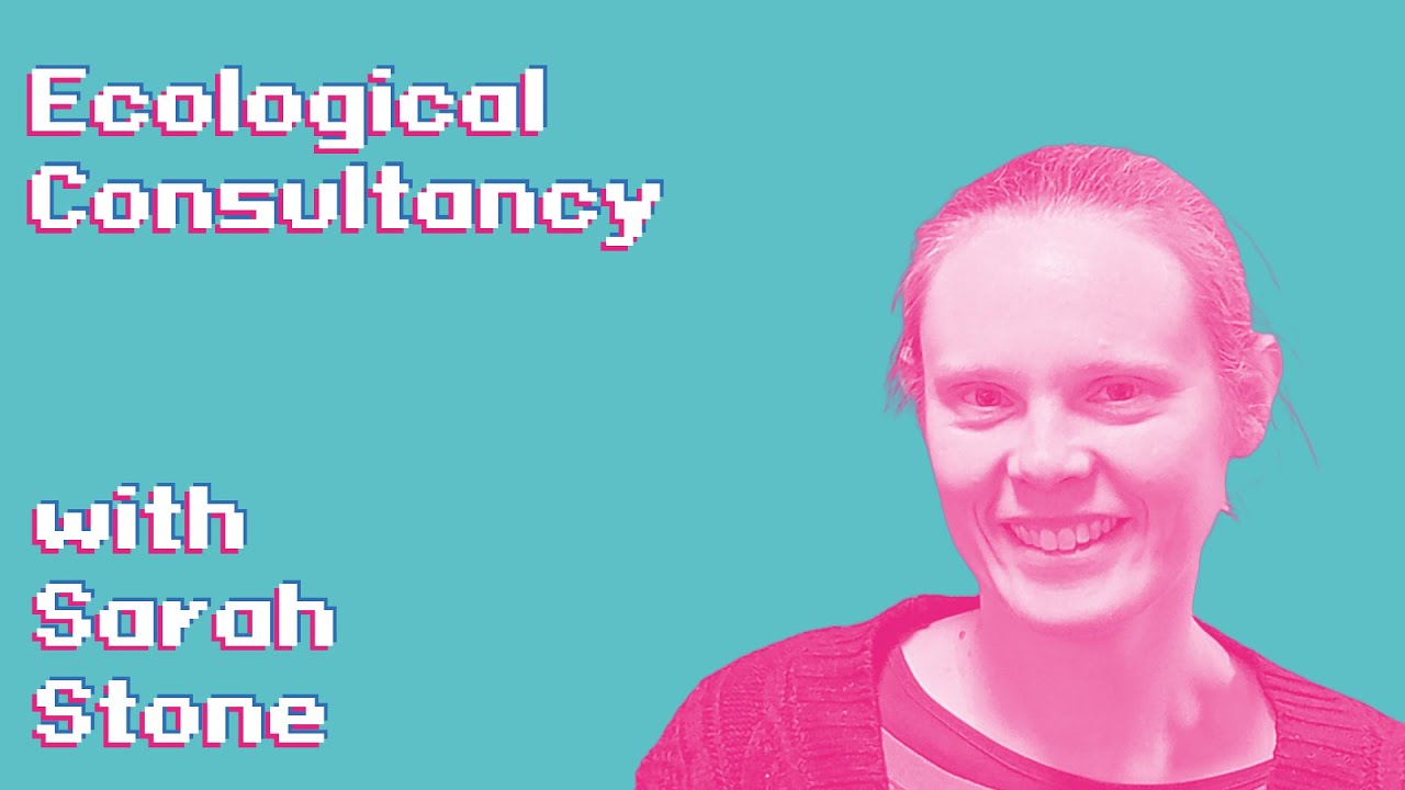 Ecological Consultancy - Episode 59 | Sarah Stone