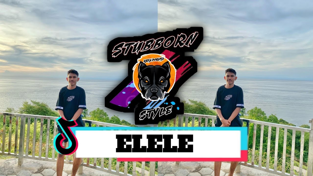 DJ TERBARU ELELE [PIER SINLAE_X_OKEDJ] STUBBORN STYLE
