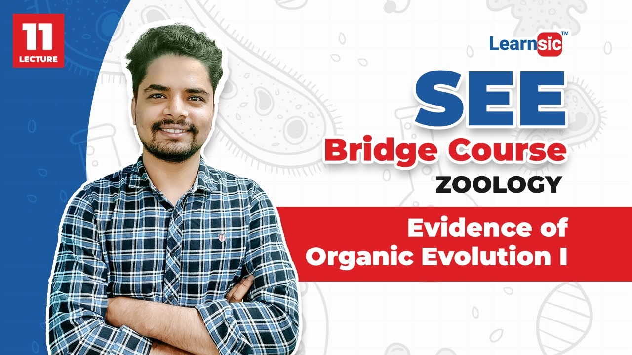 Zoology Lecture 11: Evidence of Organic Evolution I  | Learnsic Bridge Course