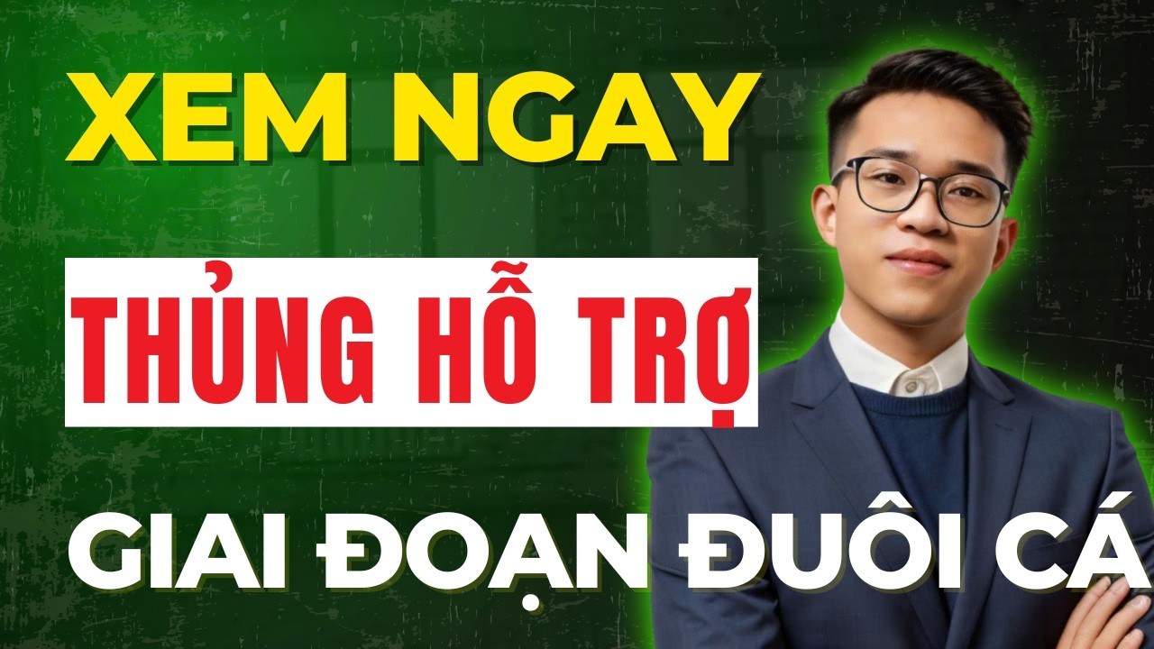 XEM NGAY: VNINDEX Thủng Hỗ Trợ - Cơ Hội Hay Rủi Ro Đang Tới Gần! | Đừng Bỏ Lỡ!