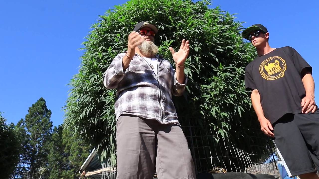 7 MINUTES WITH THE SOIL KING & MENDO DOPE