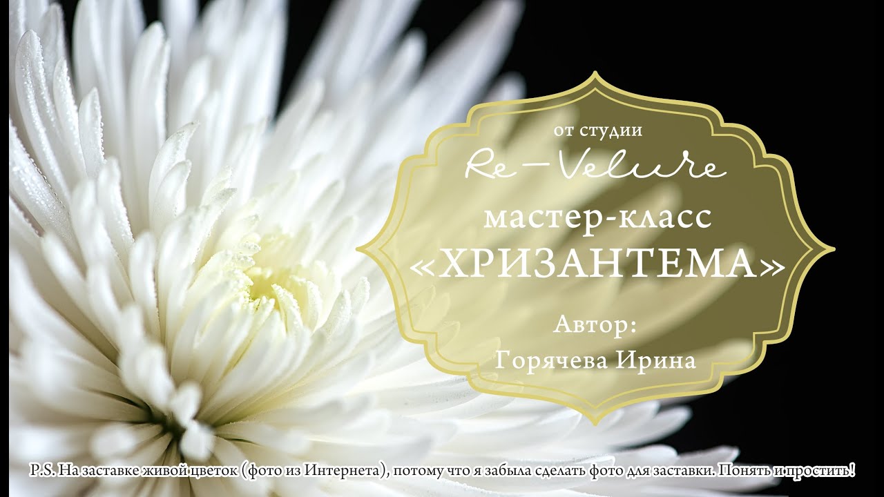 Мастер-класс Хризантема из фоамирана (DIY Chrysanthemum from foamiran)