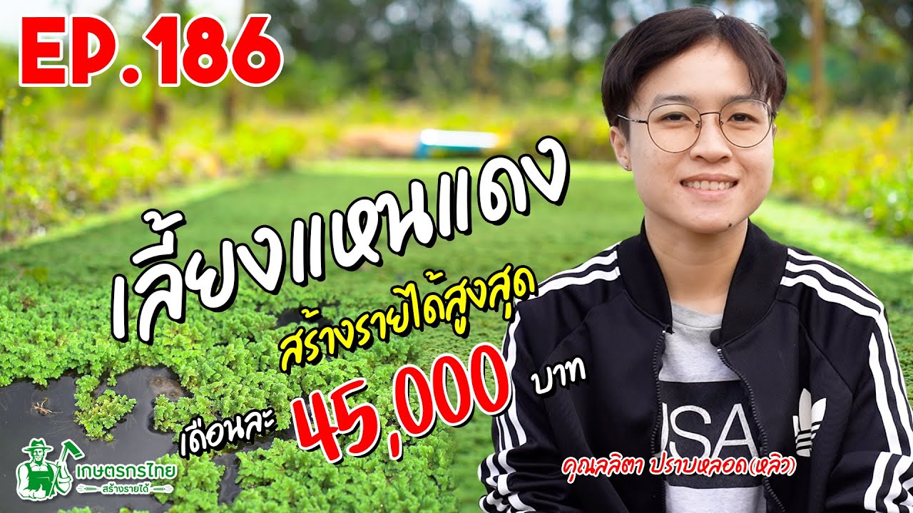เลี้ยงแหนแดง สร้างรายได้สูงสุด 45,000 บาท/เดือน l  เกษตรกรไทย สร้างรายได้ Ep186